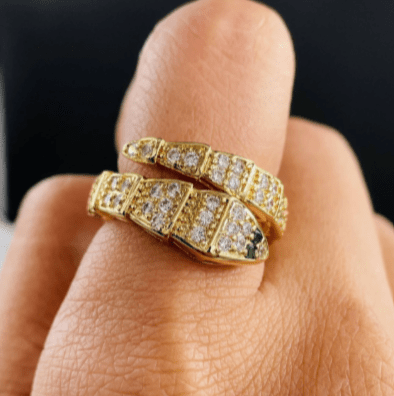 Snake Ring - Zambeel