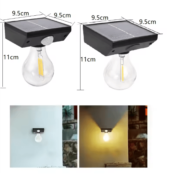 Solar Induced LED Light Bulb - Zambeel
