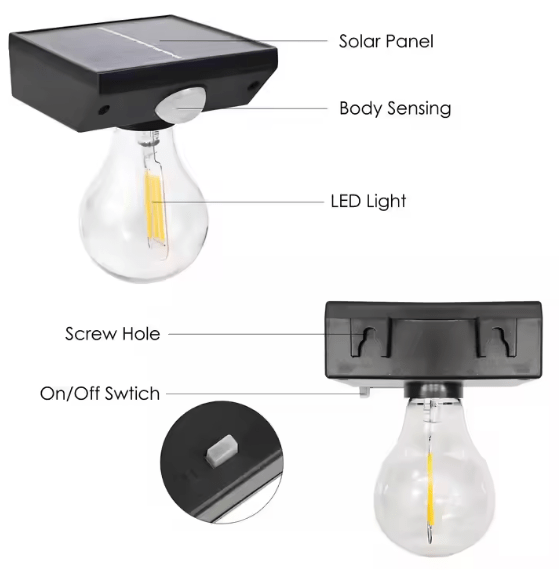 Solar Induced LED Light Bulb - Zambeel