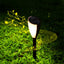 Solar Led Warm White Two - Color Acousto - Optic Lawn Lamp - Zambeel