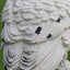 Solar Power LED Owl Parrot Lawn Light Outdoor Waterproof Garden Landscape Lamp - Zambeel