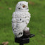 Solar Power LED Owl Parrot Lawn Light Outdoor Waterproof Garden Landscape Lamp - Zambeel