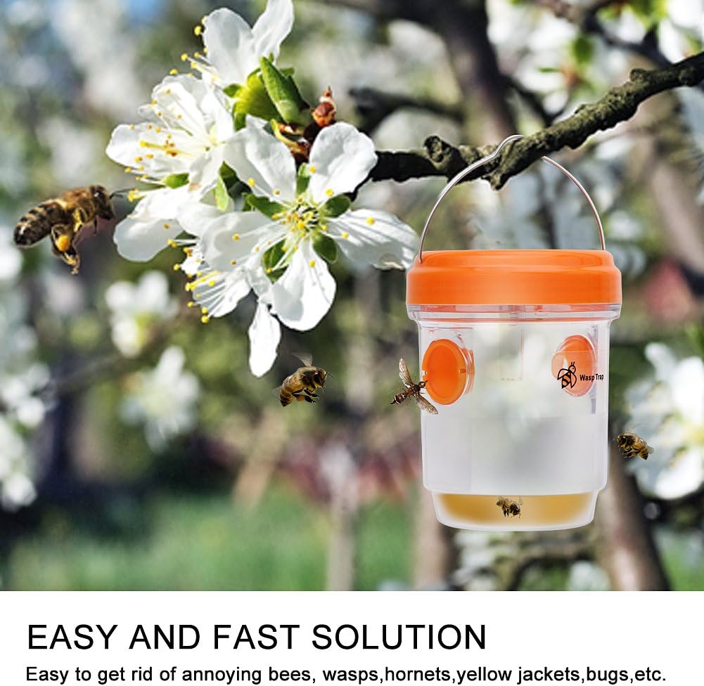 Solar - Powered Wasp Trap - Zambeel