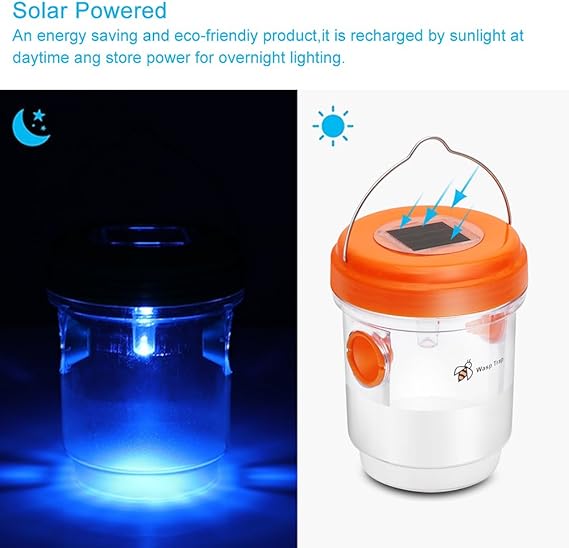 Solar - Powered Wasp Trap - Zambeel