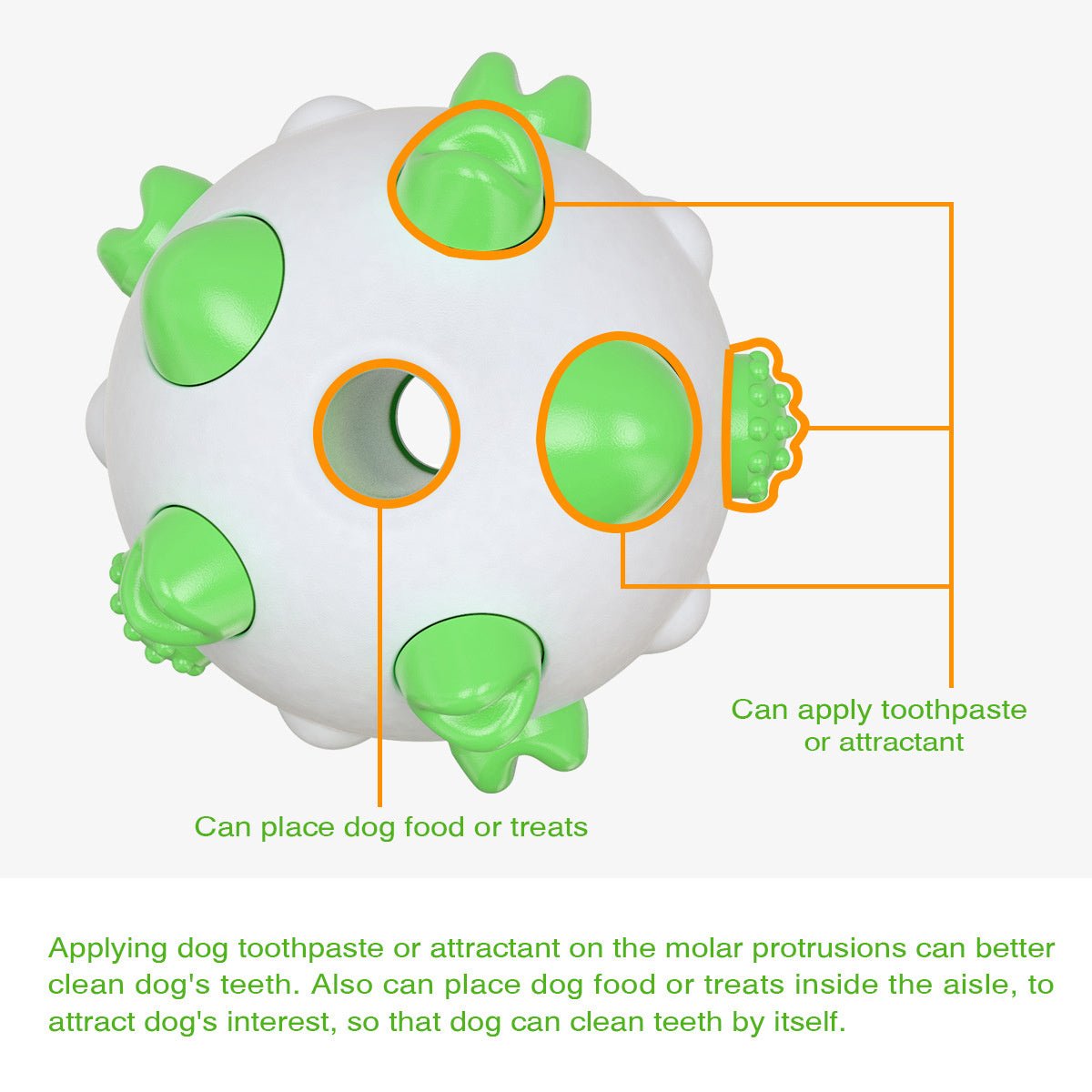 Spherical Dog Toy Molar Rod - Zambeel