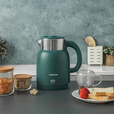 Stainless Steel Electric Tea Kettle - Zambeel