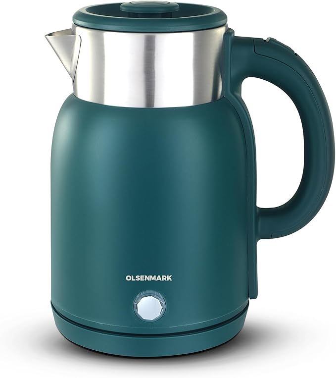 Stainless Steel Electric Tea Kettle - Zambeel