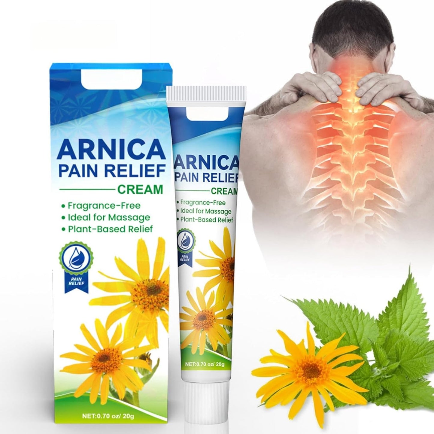 Sumifun - Arnica Pain Relief Cream - Zambeel