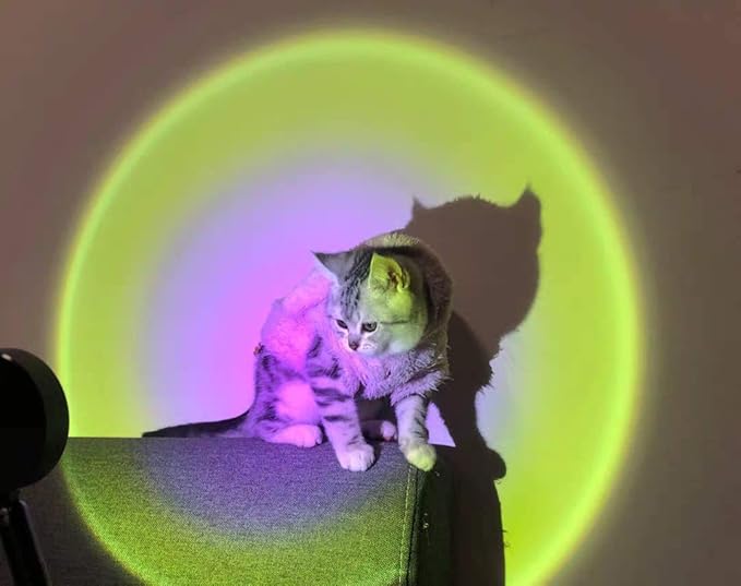 Sunset Lamp (Q - 08) - Zambeel