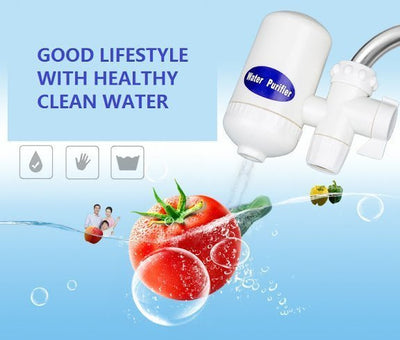 SWS - Water Purifier - Zambeel