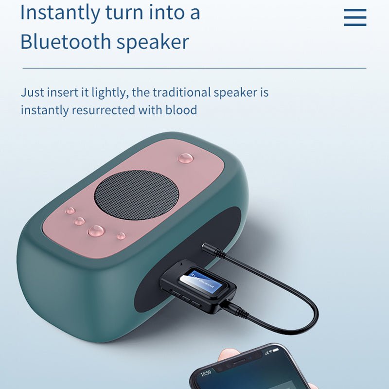 Transmitter With Screen Display - Zambeel