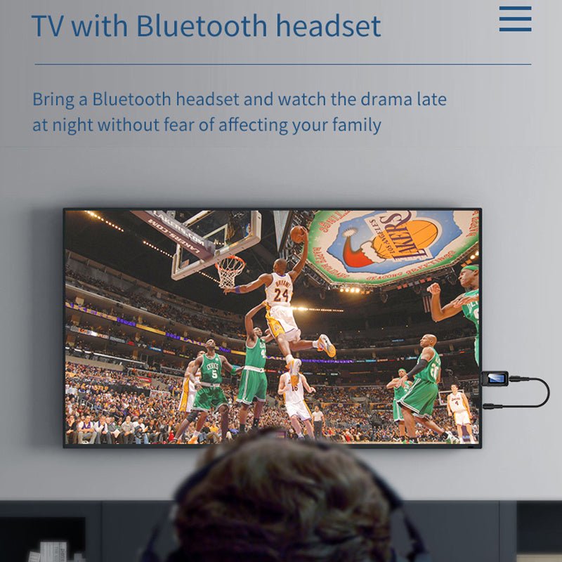 Transmitter With Screen Display - Zambeel