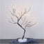 Tree Light Touch Switch Pearl Star Night Light - Zambeel