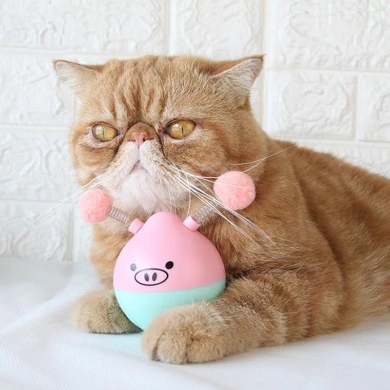 Tumbler Pet Toy - Zambeel