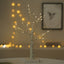 USB Birch Light - Zambeel