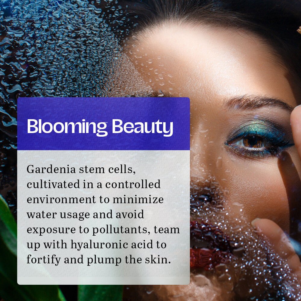 VA Almoes - Frankincense Face Serum (Original) - Zambeel