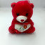 Valentine Teddy Bear - Zambeel