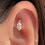 Water Drop Zircon Ear Studs High - Grade Silver Plated - Zambeel