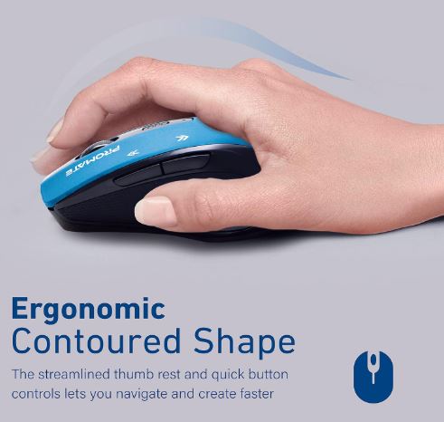Wireless Ergonomic Mouse 2.4G - Zambeel