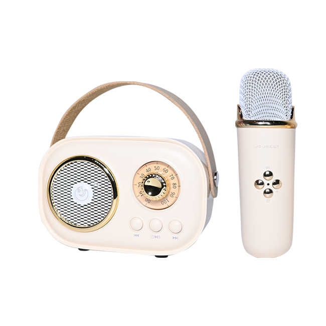 Wireless Mini Speaker With Mic - Zambeel