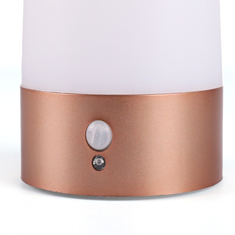 Wireless Outdoor Sensor Light - Zambeel