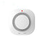 Wireless Smoke Detector Fire Alarm Detector Smart Smoke Alarm - Zambeel